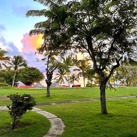 La Perle Des Caraibes Apartment Sainte-Anne  Exterior photo
