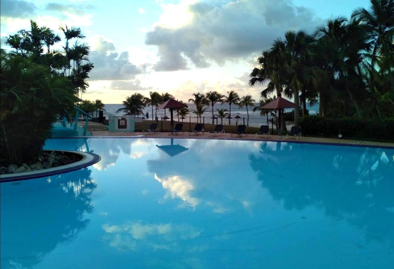 La Perle Des Caraibes Apartment Sainte-Anne  Exterior photo